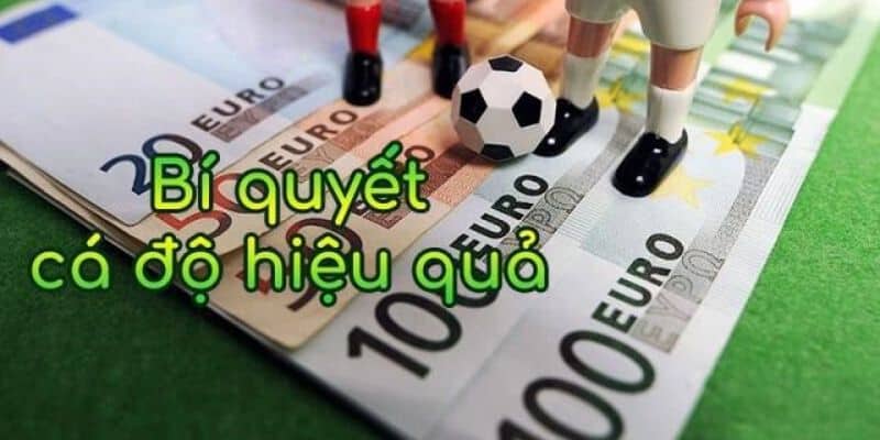 Mẹo cược để người hâm mộ ăn tiền nhà cái 